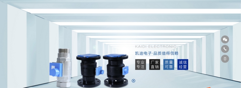 慈溪市凱迪電子有限公司